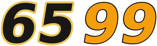 6599 logo